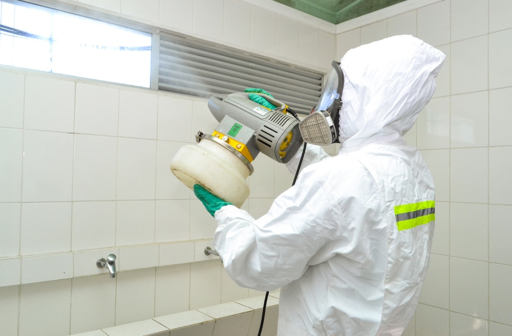 Global MIP - Control de plagas en desinsectación, desratización y desinfección. Especialistas certificados.