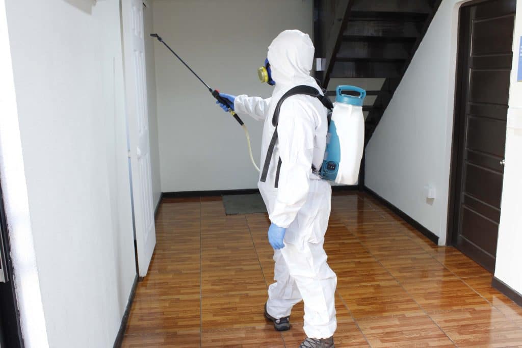 Global MIP - Control de plagas en desinsectación, desratización y desinfección. Especialistas certificados.